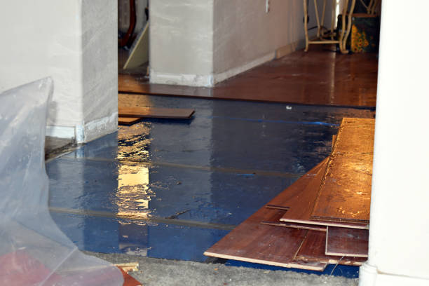 Professional Basement Flood Cleanup technician working in New Douglas, IL