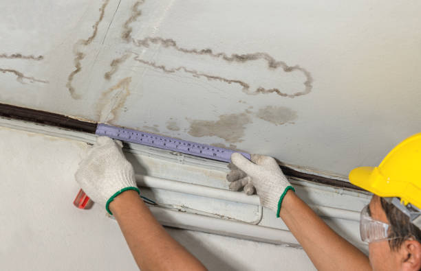Reliable Basement Flood Cleanup contractor in New Douglas, IL by Aqua Guard Water Damage